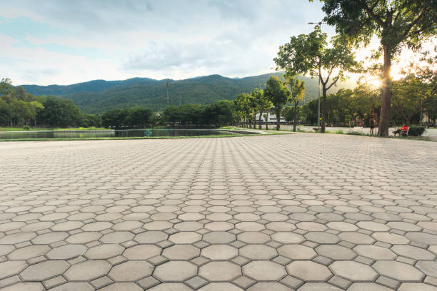 Best Concrete Paver Driveway  in Plymouth, CA